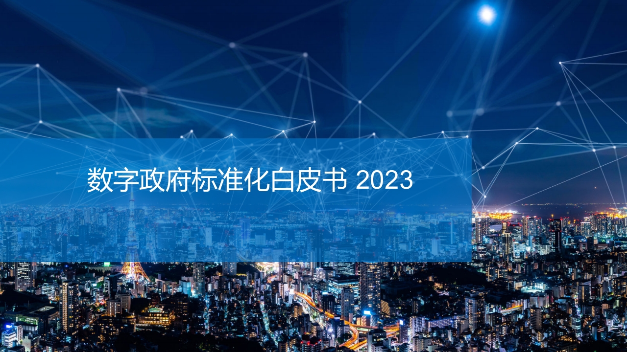 数字政府标准化白皮书2023[45页]